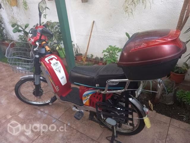 Bicicleta electrica - Imagen 4