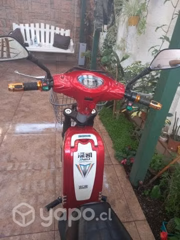 Bicicleta electrica - Imagen 2