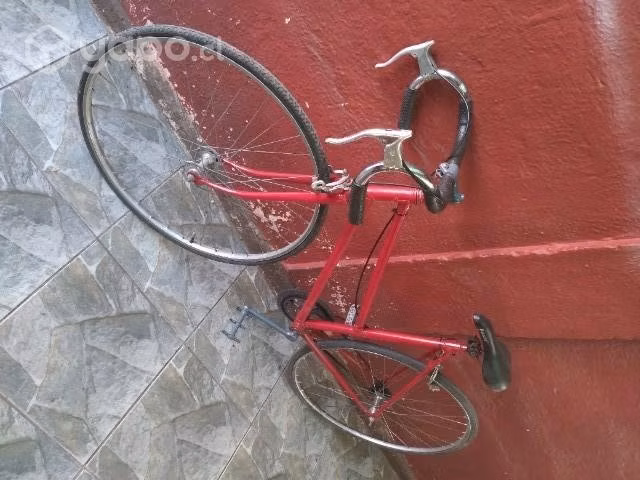 Pisteras de Dama.