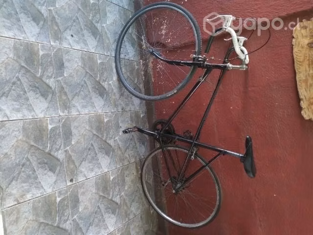 Pisteras de Dama. - Imagen 6