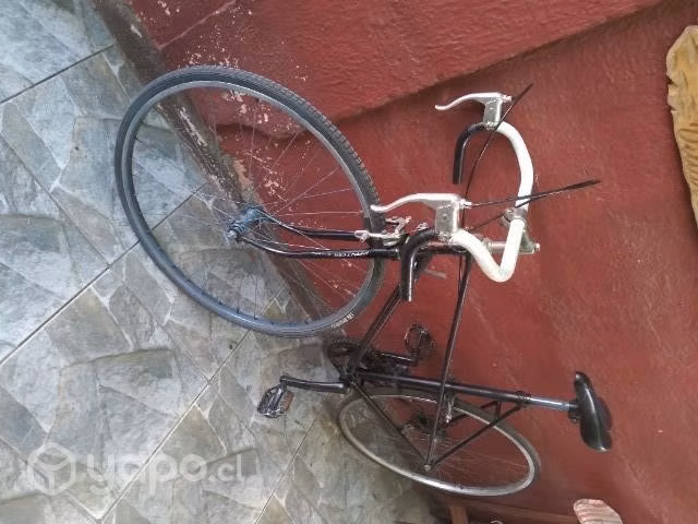 Pisteras de Dama. - Imagen 3