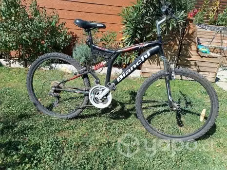 Bicleta
