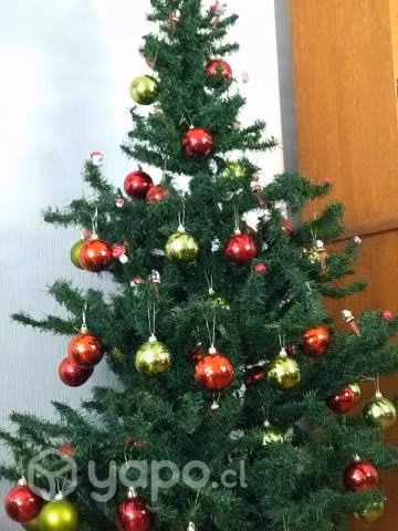 Pino navideño - Imagen 3