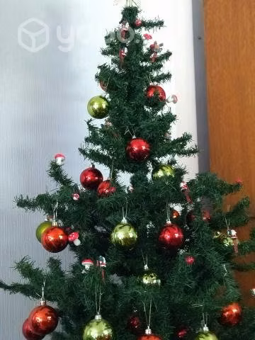 Pino navideño - Imagen 4