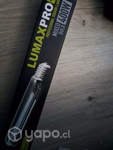 Apmpolleta sodio extra lumen