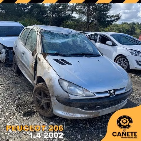 Frontal Peugeot 