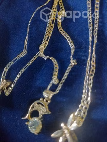 Cardenas de plata con diges