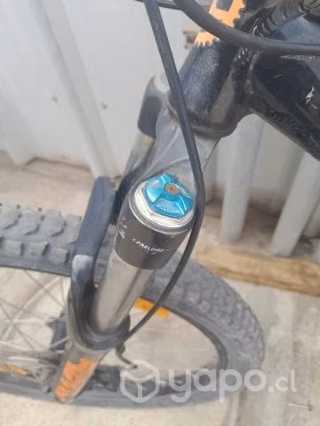 Kona sherd 2016