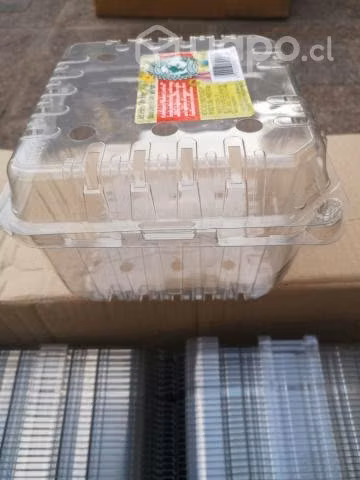 Clamshell 1,36 kg (400 unidades)