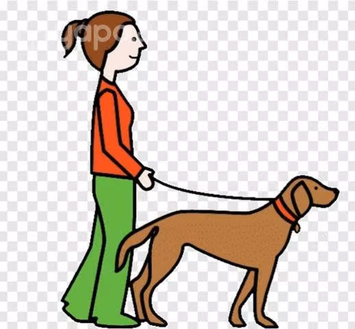 Paseadora de perros