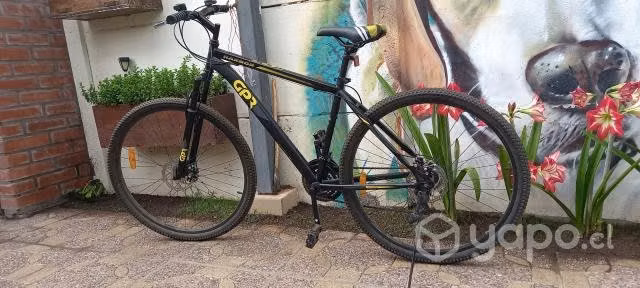 Bicicleta