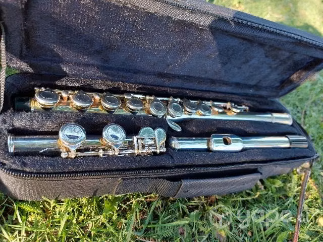 Flauta Traversa Scorpion + Estuche