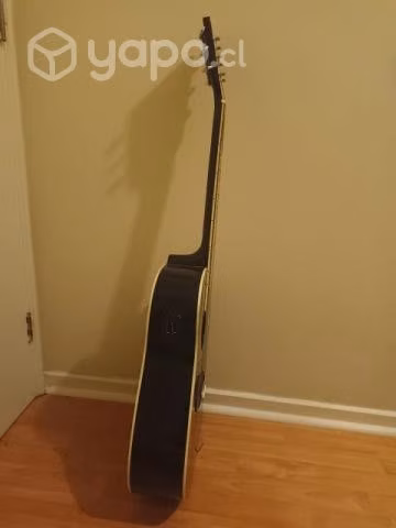 Guitarra Freeman