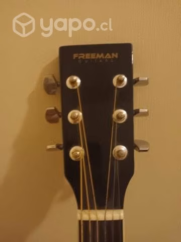 Guitarra Freeman