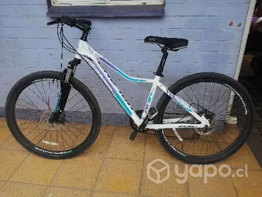 Bicicleta Upland - Imagen 3