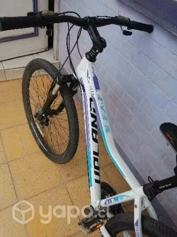 Bicicleta Upland - Imagen 2