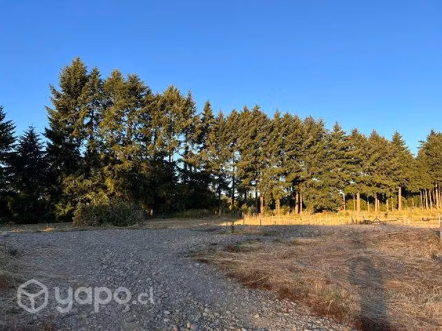 Parcel en Villarrica