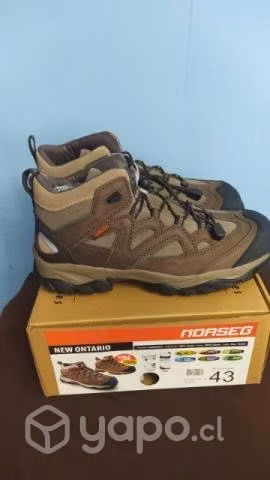 Zapatos de seguridad