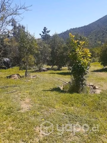 Se vende parcela de agrado en Melipilla