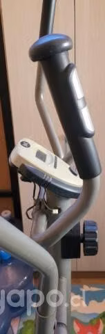 Elíptica Everlast