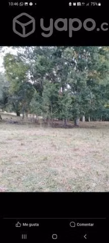 Vendo campo cerca villarrica