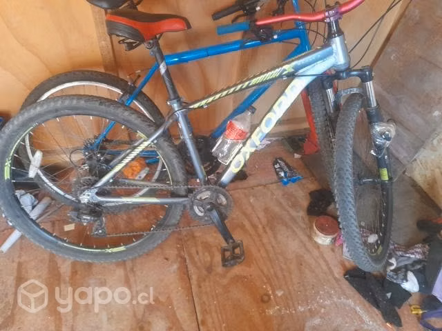 3 Bicicletas - Imagen 4
