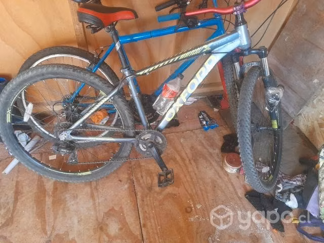 3 Bicicletas - Imagen 3