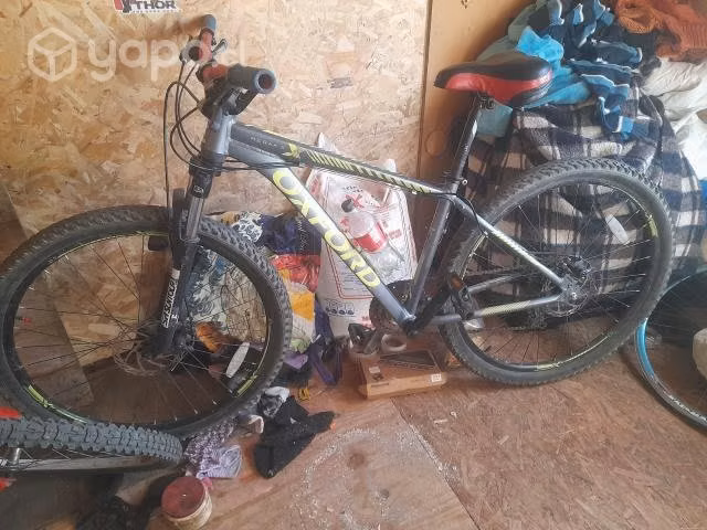 3 Bicicletas - Imagen 2