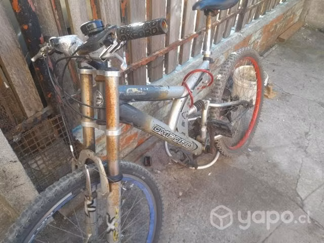 3 Bicicletas - Imagen 5