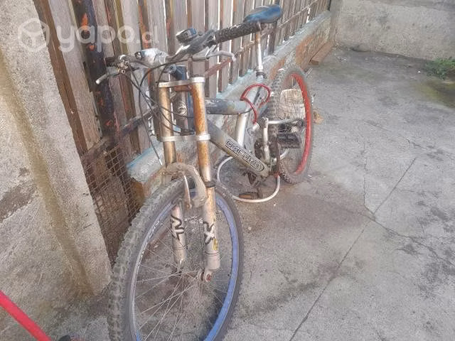 3 Bicicletas - Imagen 6