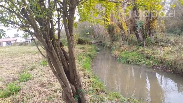 Se vende media hectárea con casa