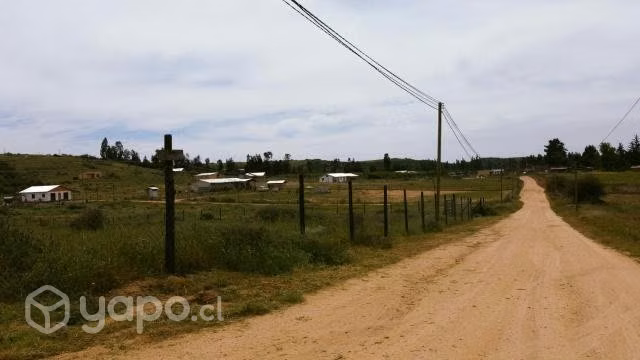 PARCELA 5.000 m2 LITUECHE