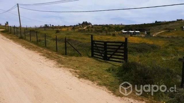 PARCELA 5.000 m2 LITUECHE - Imagen 2