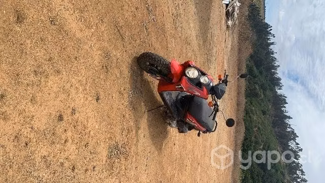 Moto scooter jl150t