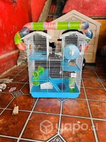 Jaula hamster