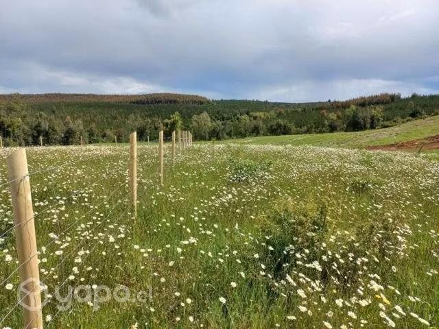 Vendo parcela 5000 m2 - Imagen 6