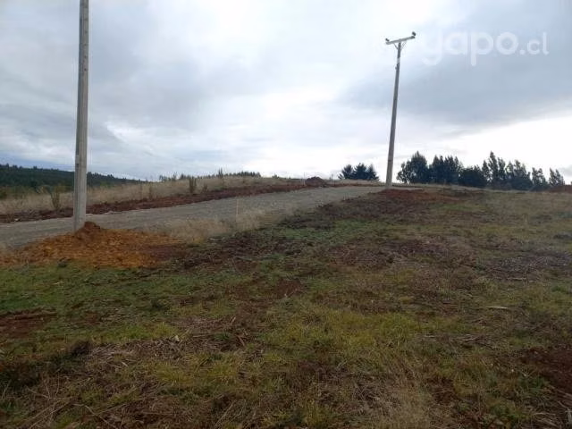 Vendo parcela 5000 m2 - Imagen 5