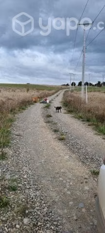 Vendo parcela 5000 m2 - Imagen 7