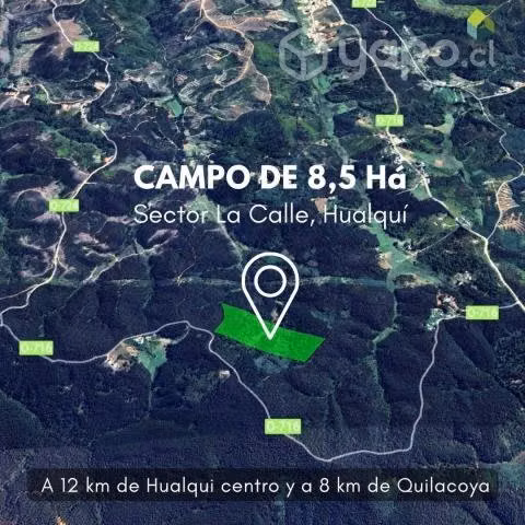 Campo 8,5 há, sector La Calle, Hualquí