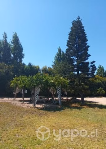 Parcela 10.000 m, 2 casas,250 paltos piscina