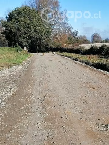 Vendo parcela de 5000 mts plana - Imagen 4