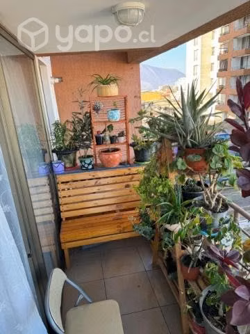 Arriendo diario