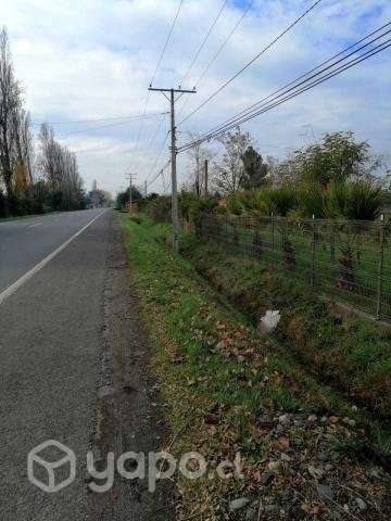 Vendo Parcela Camino principal a Termas de Chillán - Imagen 4