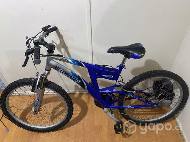 Bicicleta bianchi