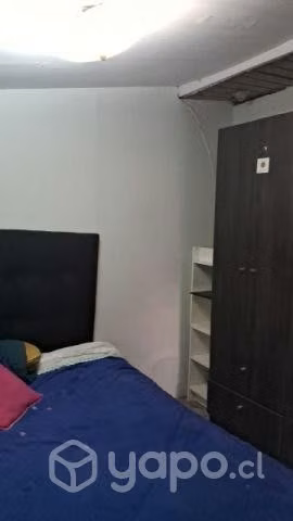 Arriendo de casa en el bosque