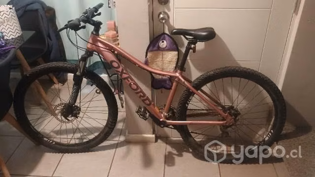 Bicicleta oxford - Imagen 2