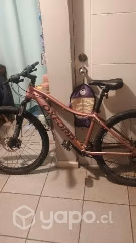 Bicicleta oxford