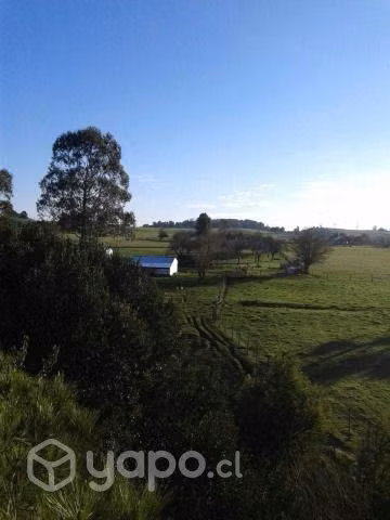 7 Hectareas en Loncotoro, Decima Region
