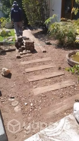 Pasto sintético ornamental