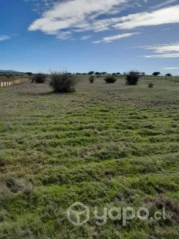 Parcela 5000mt sector mallermo sexta region